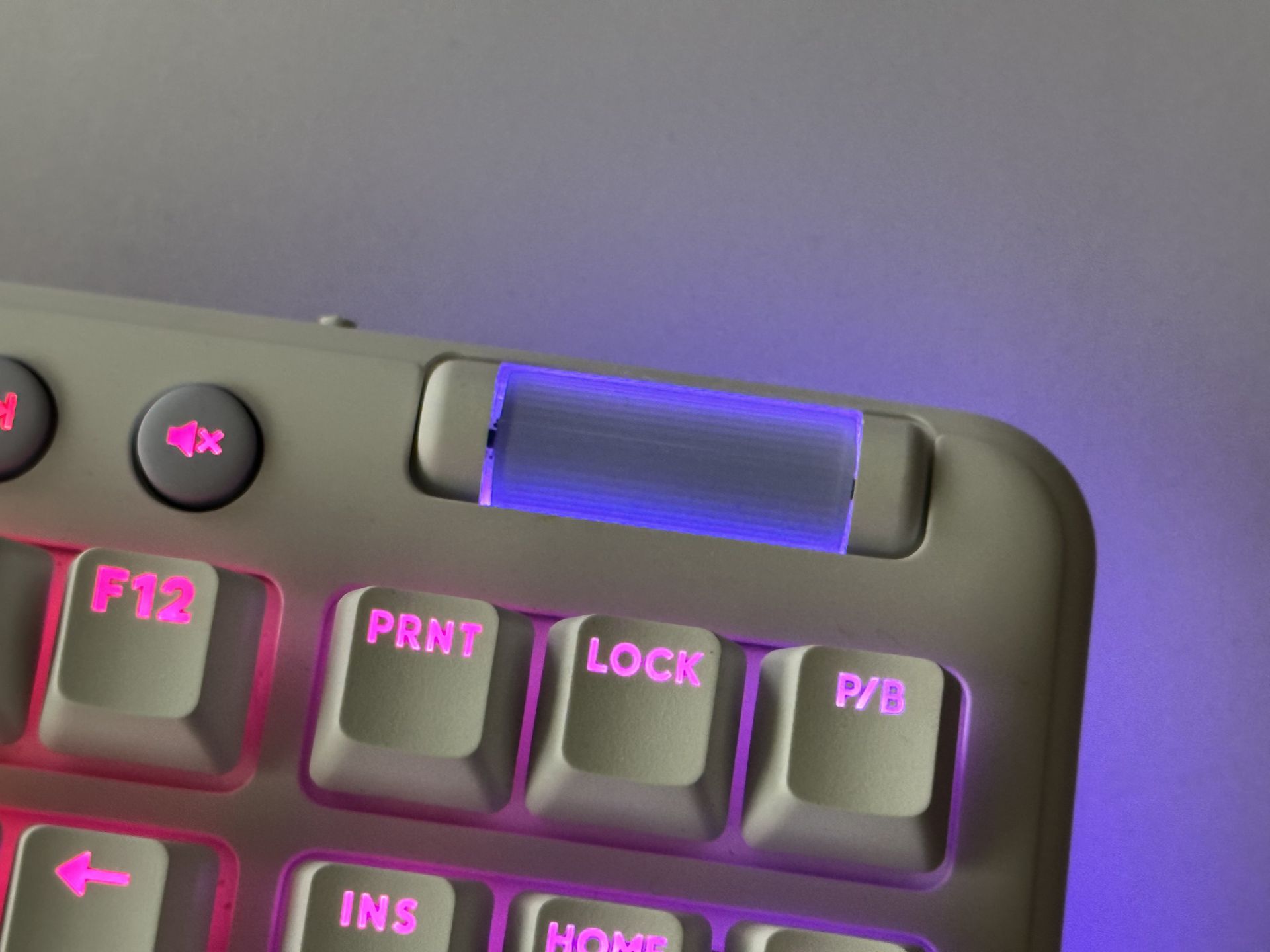 ボリュームもオシャレにライトアップ