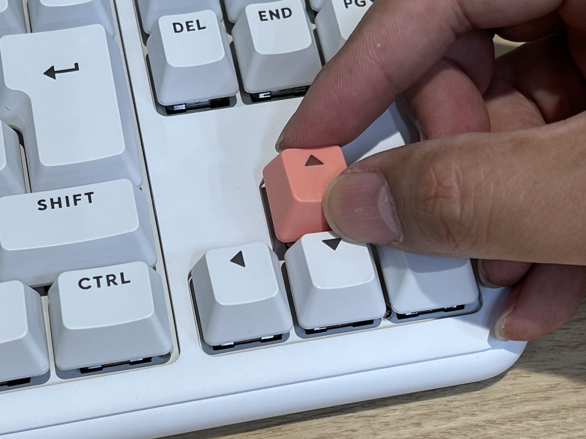 装着は上からはめ込むだけ