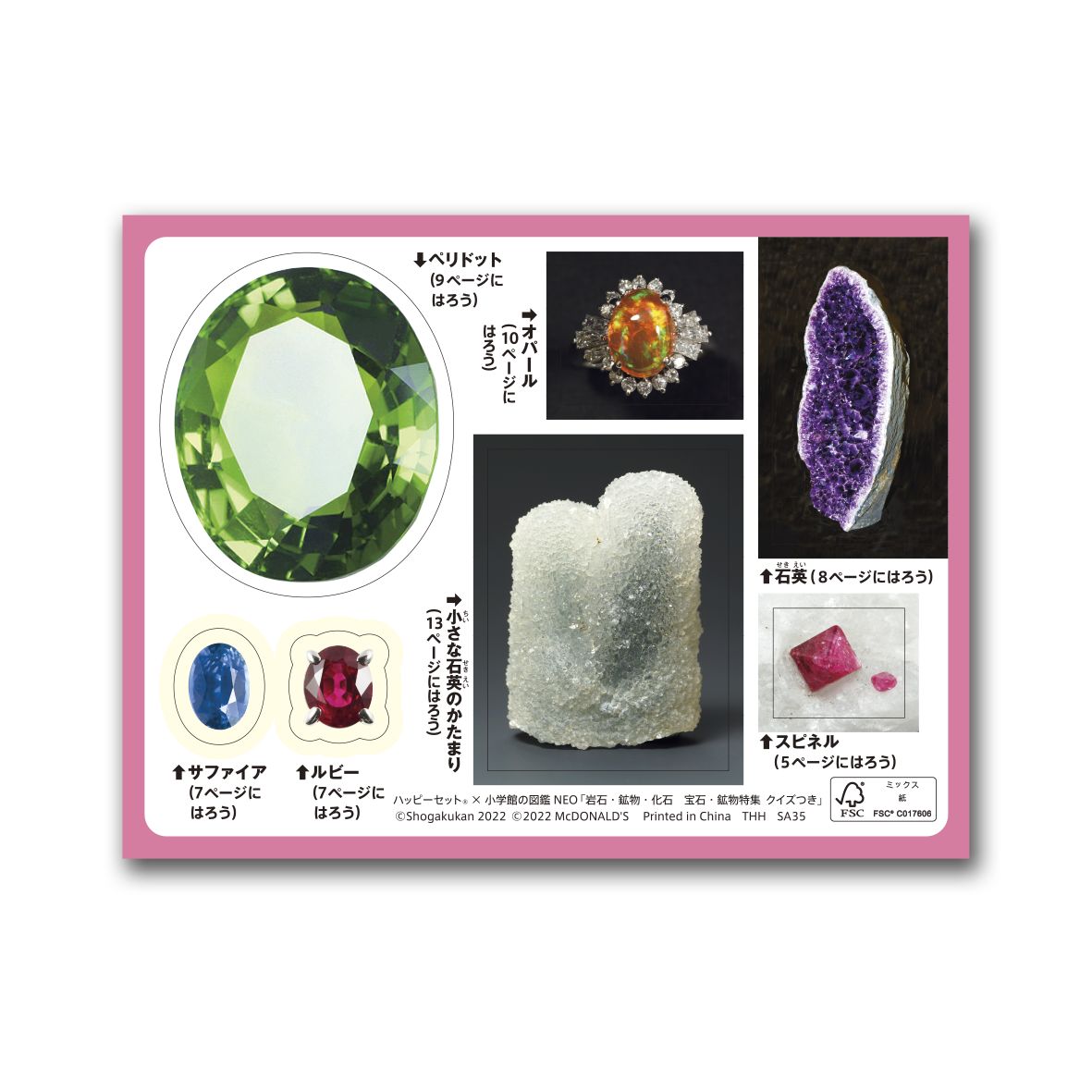 シールを貼りながら、図鑑を完成させよう