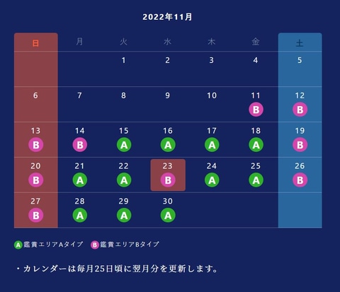 東京ディズニーシーの「ビリーヴ！～シー・オブ・ドリームス～」が有料 