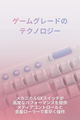 Logicool G ゲーミングキーボード G713 テンキーレス 有線 g713-ln_s_ln.jpg