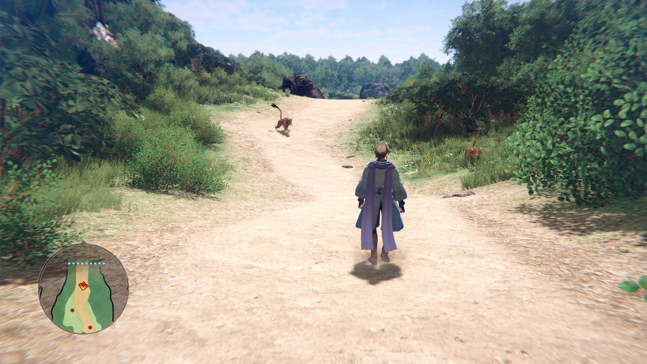 接触すると戦闘になる