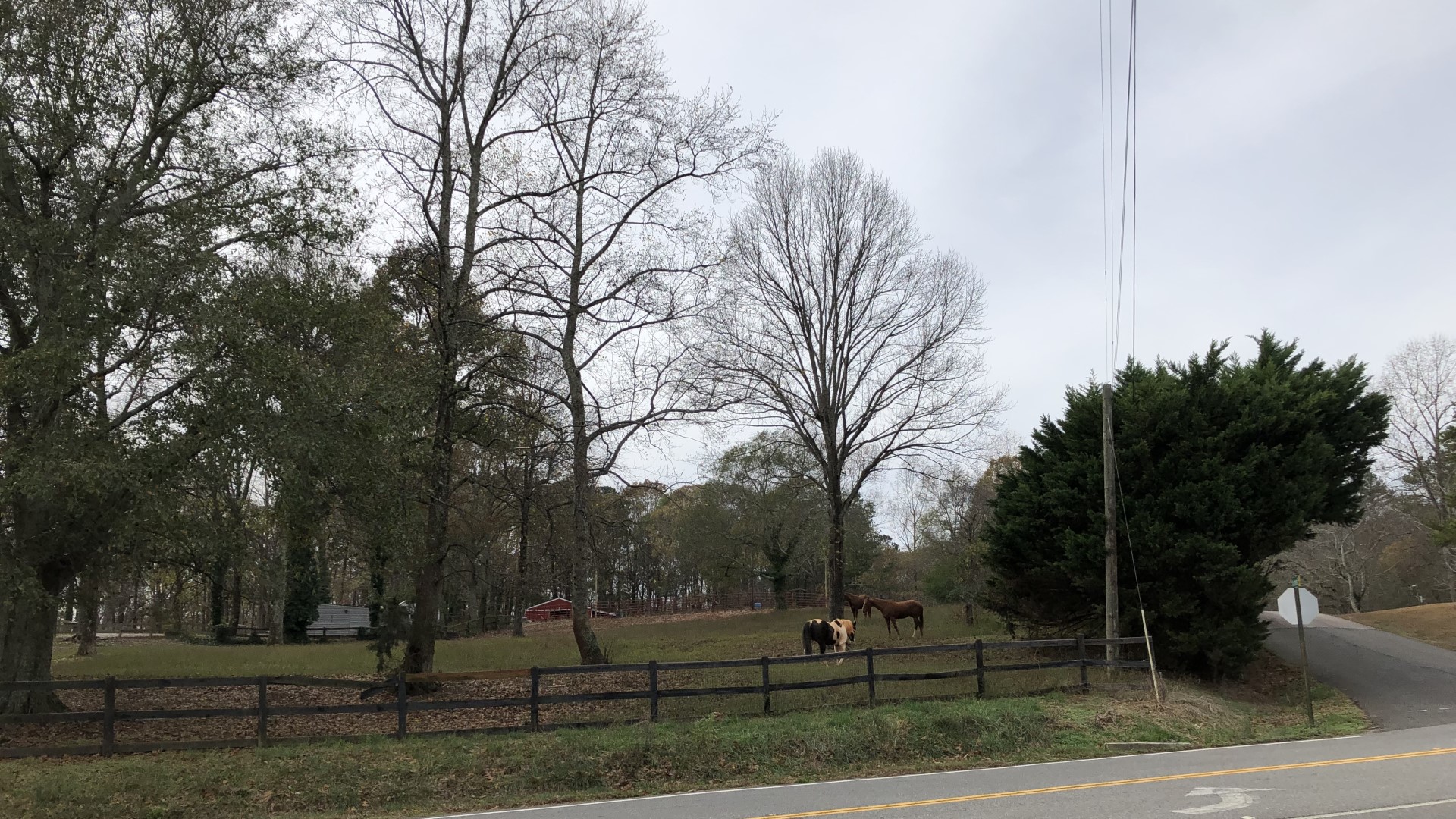 【ジョージア州フォーサイス郡】