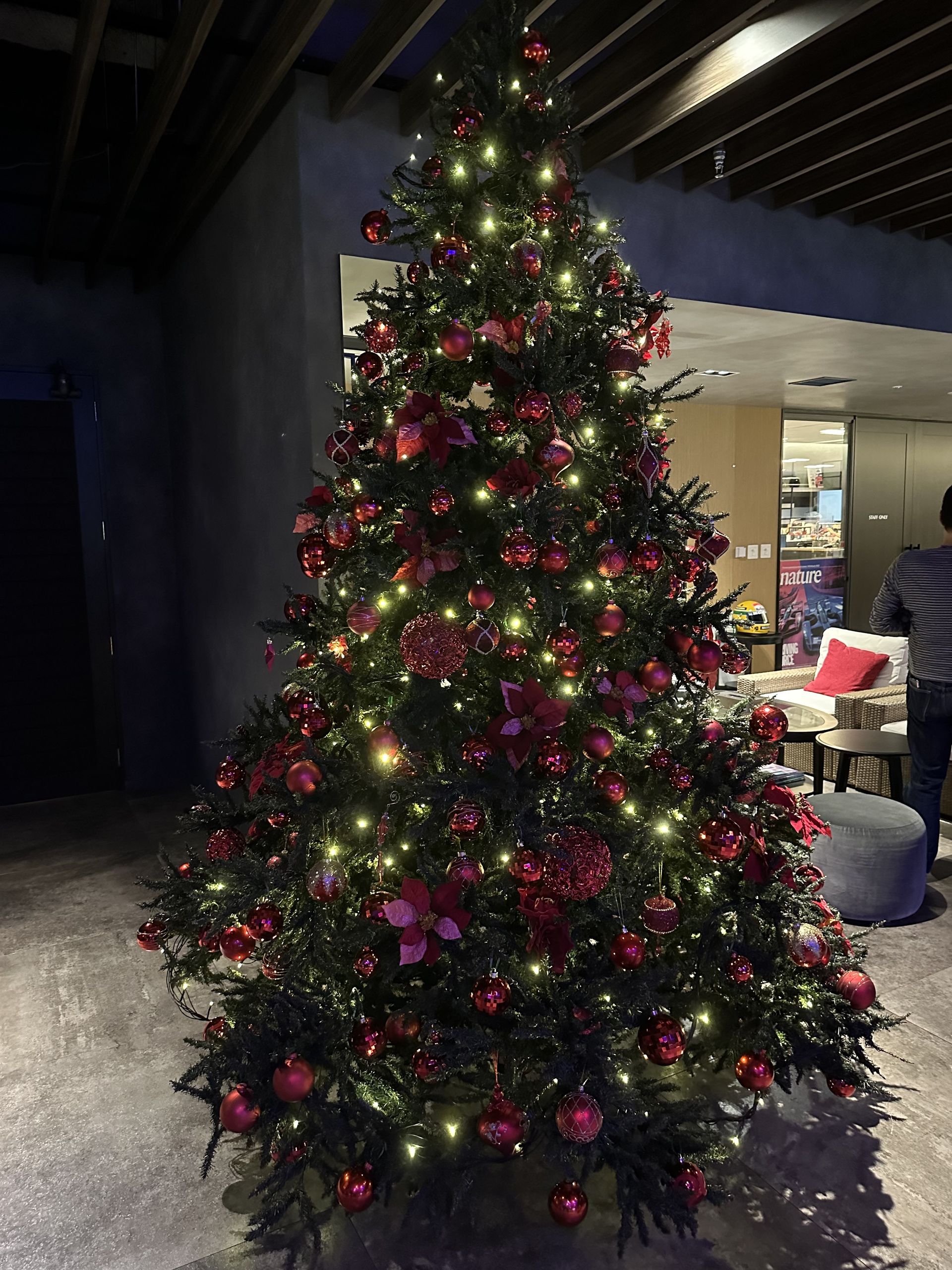 このクリスマスツリーの奥にある扉を抜けると開発エリア