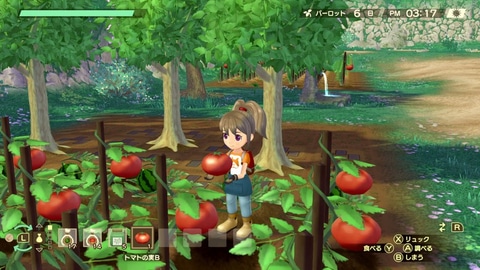 牧場物語　オリーブタウン ワンダフルライフ　switch Amazon.co.jp: 牧場物語 Welcome! ワンダフルライフ -Switch