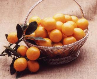 3等：完熟きんかん たまたま