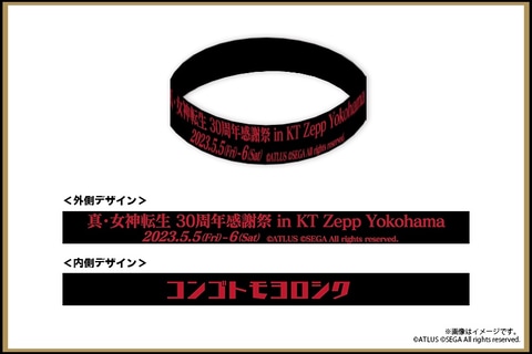 真・女神転生 30周年感謝祭　イベントくじ　ゴールド賞：キャンバスボードC 真・女神転生 30周年感謝祭 イベントくじ ゴールド賞
