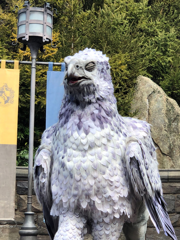 ハリポッターの鳥 USJハリポタ】魔法生物「ヒッポグリフ」が大きくてかっこいい