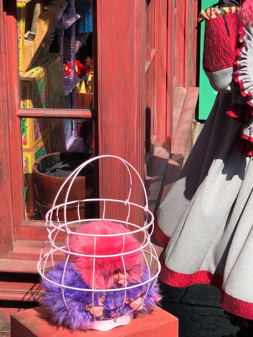 かごにぎゅう詰めにされている様子も愛らしい