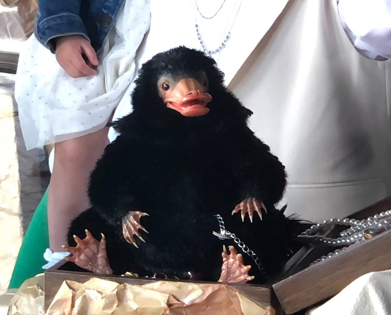 何もわかっていないような素っ頓狂に見える顔がまた可愛らしい