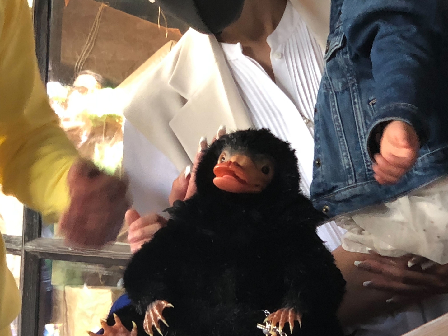 何もわかっていないような素っ頓狂に見える顔がまた可愛らしい