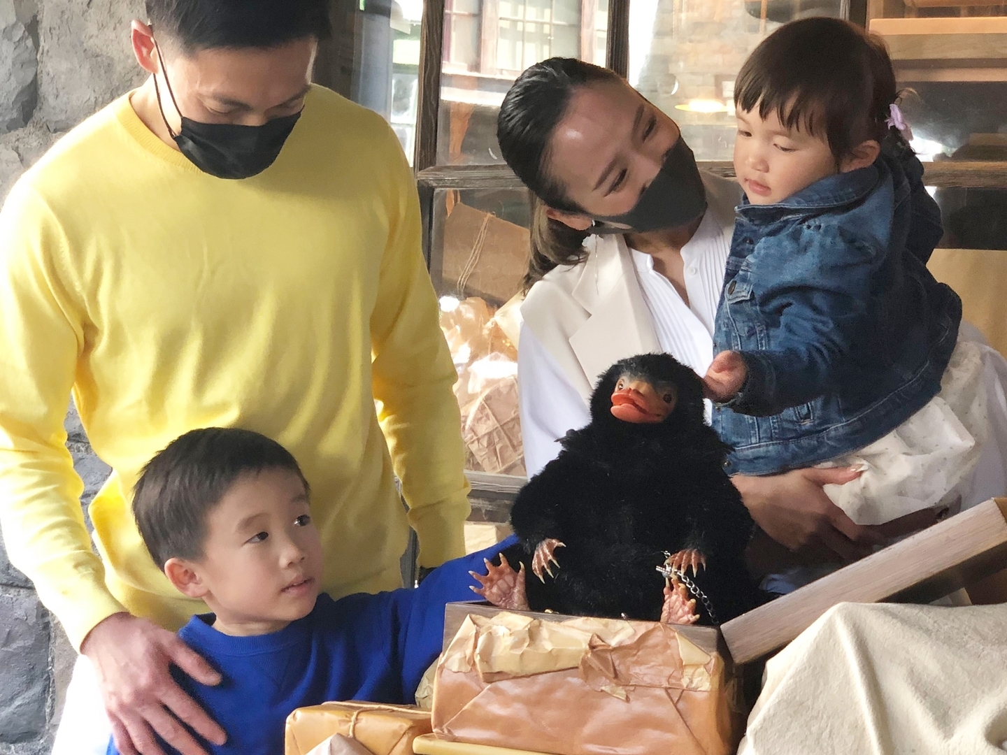 撮影の際にはニフラーのふわふわとした体毛に触れることもできる