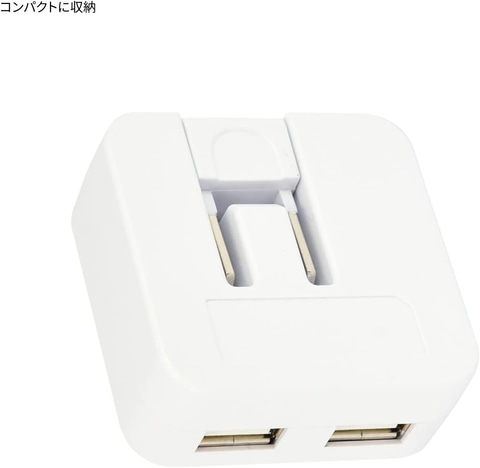 ポケットモンスター　USB2ポート ACアダプタ ピカチュウやイーブイたちがラインナップ
