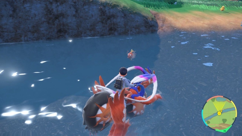 気持ちよさそうに泳いでいるコイキングを発見