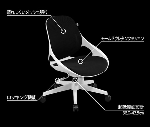 Bauhutte、36cmの