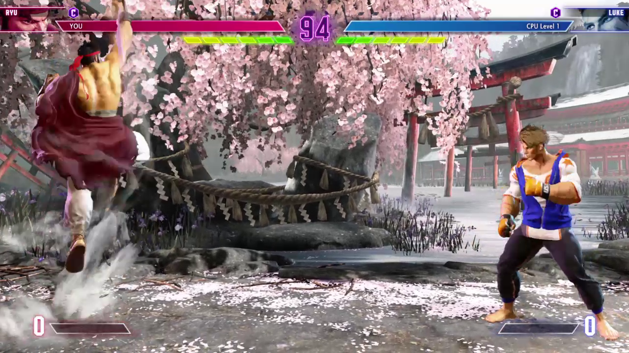 画面左下のスーパーアーツゲージに注目してほしい。いくら昇竜拳を空振りしてもゲージ増加量はゼロだ