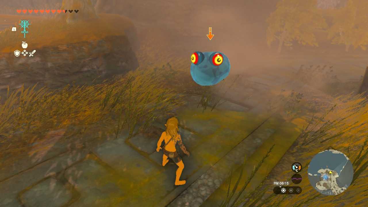 チュチュを倒すとチュチュゼリーが手に入る