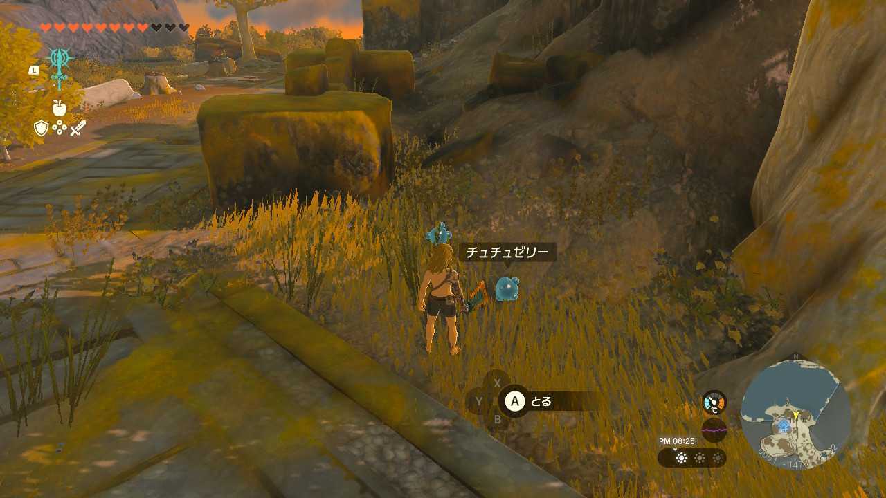 チュチュを倒すとチュチュゼリーが手に入る