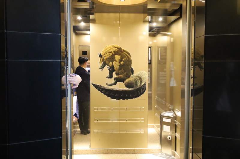 こちらはロアルドロス。3基あるエレベーターそれぞれで異なるモンスターが配置されている