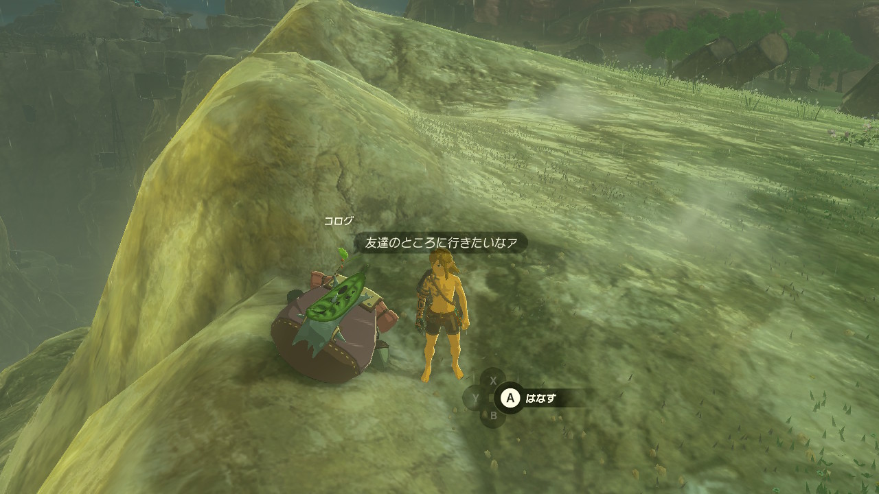 疲れて動けなくなっているコログはハイラルの各地でよく見つかる