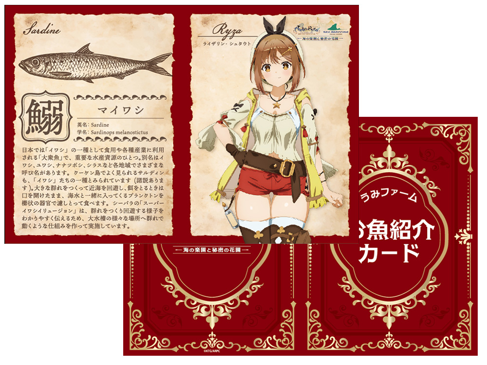 うみファーム ノベルティ「特製採取素材カード（仮）」1枚ランダム