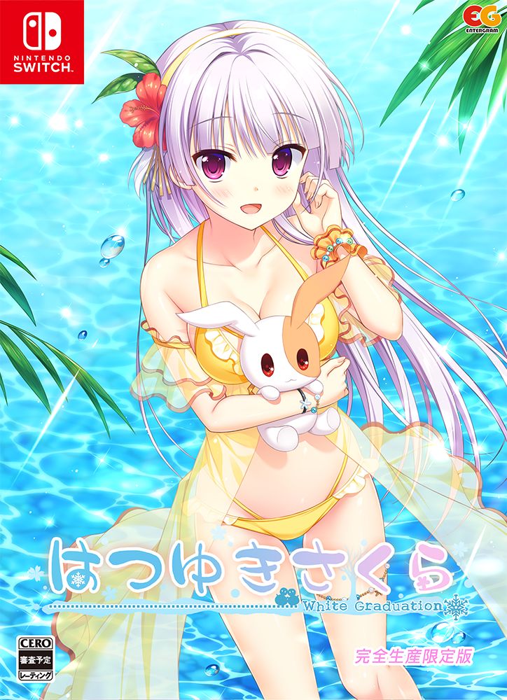 完全生産限定版 パッケージ