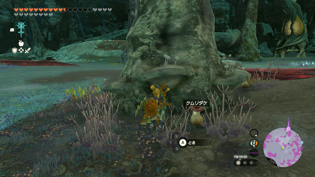 ハイラルの地底で入手できるケムリダケ。無数にあるので、見つけたら取っておこう