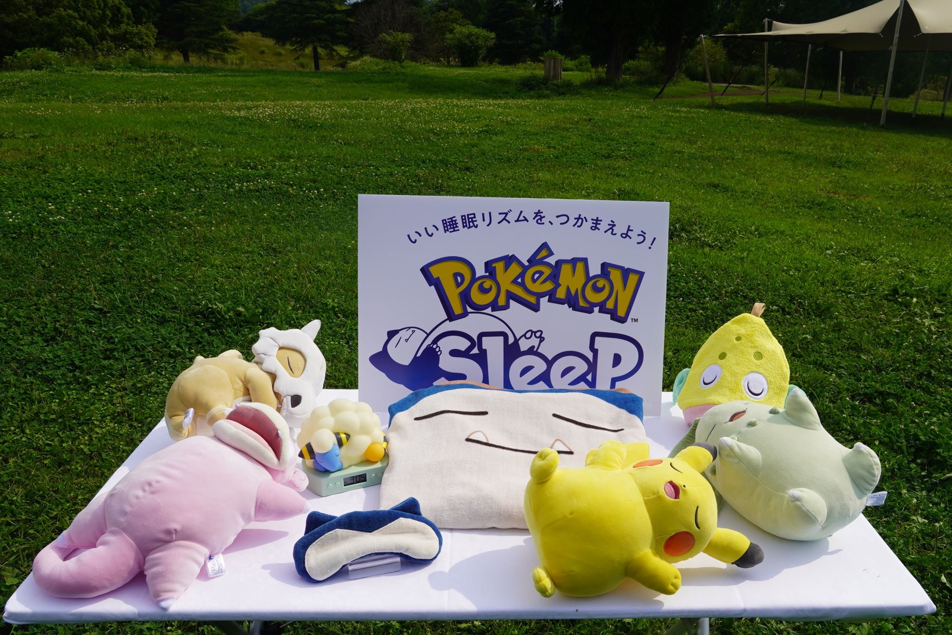 今後ポケモンセンターで発売予定のぬいぐるみなど