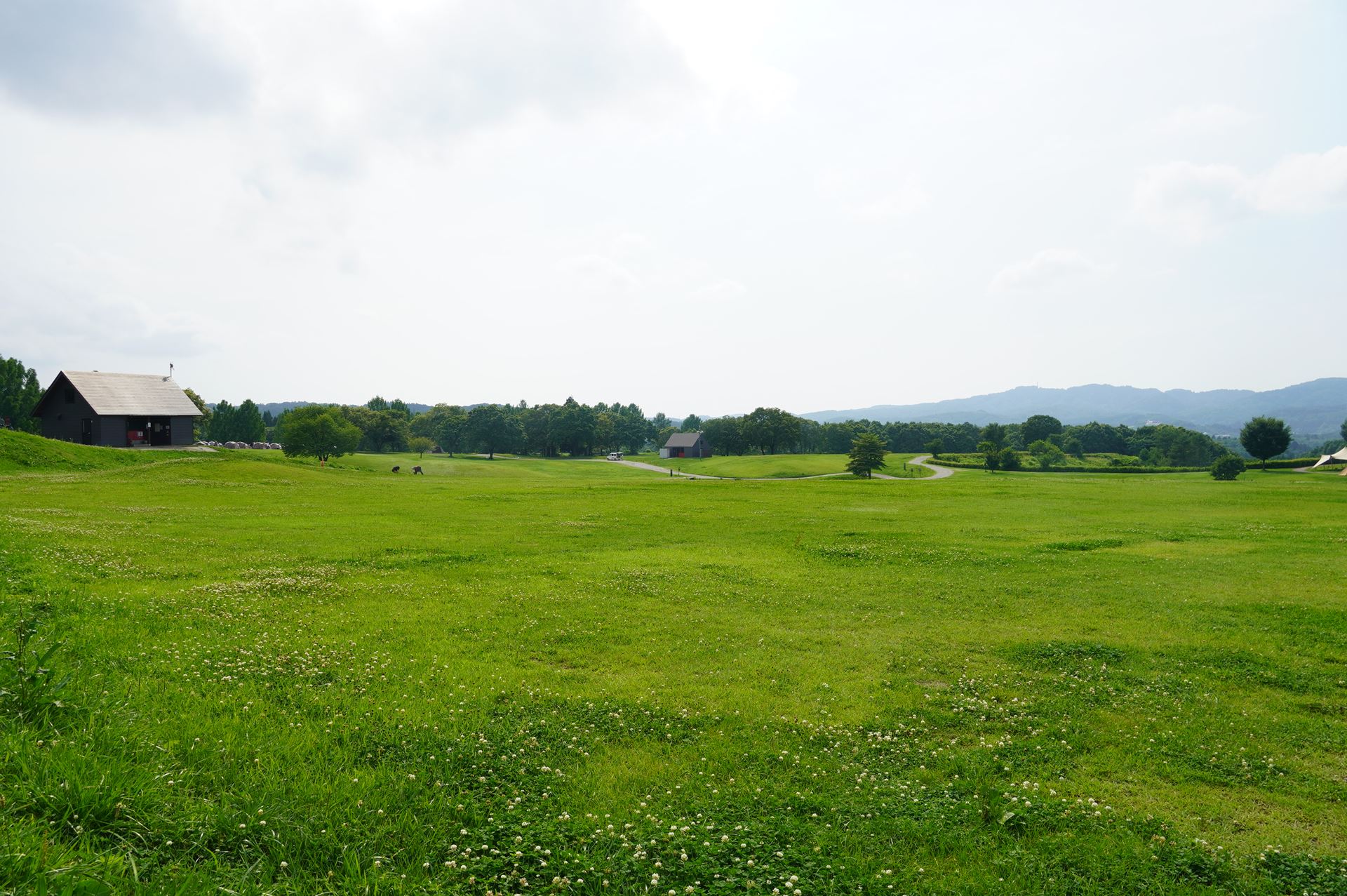 こちらがキャンプフィールドの一部。非常に広大だ。左端の建物の向こう側に、今回宿泊したテント群が見える