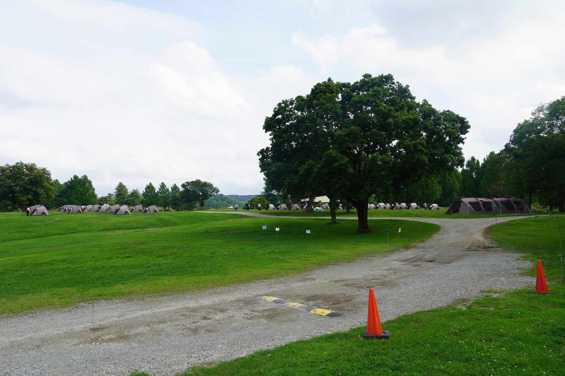 今回宿泊したテント群。スノーピークの1人用テントが並んでいる