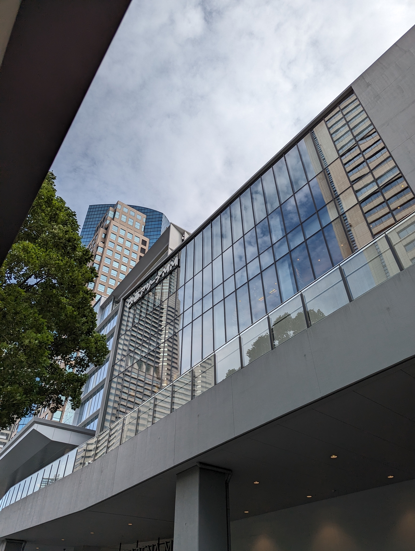 横浜公演の会場は今回もみなとみらいにある、ぴあアリーナMM