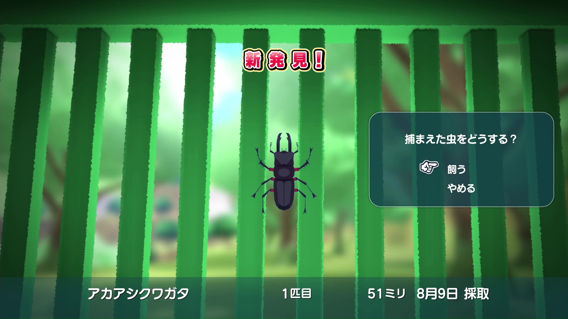 木に沢山の虫が集まっているのは心躍る瞬間だ