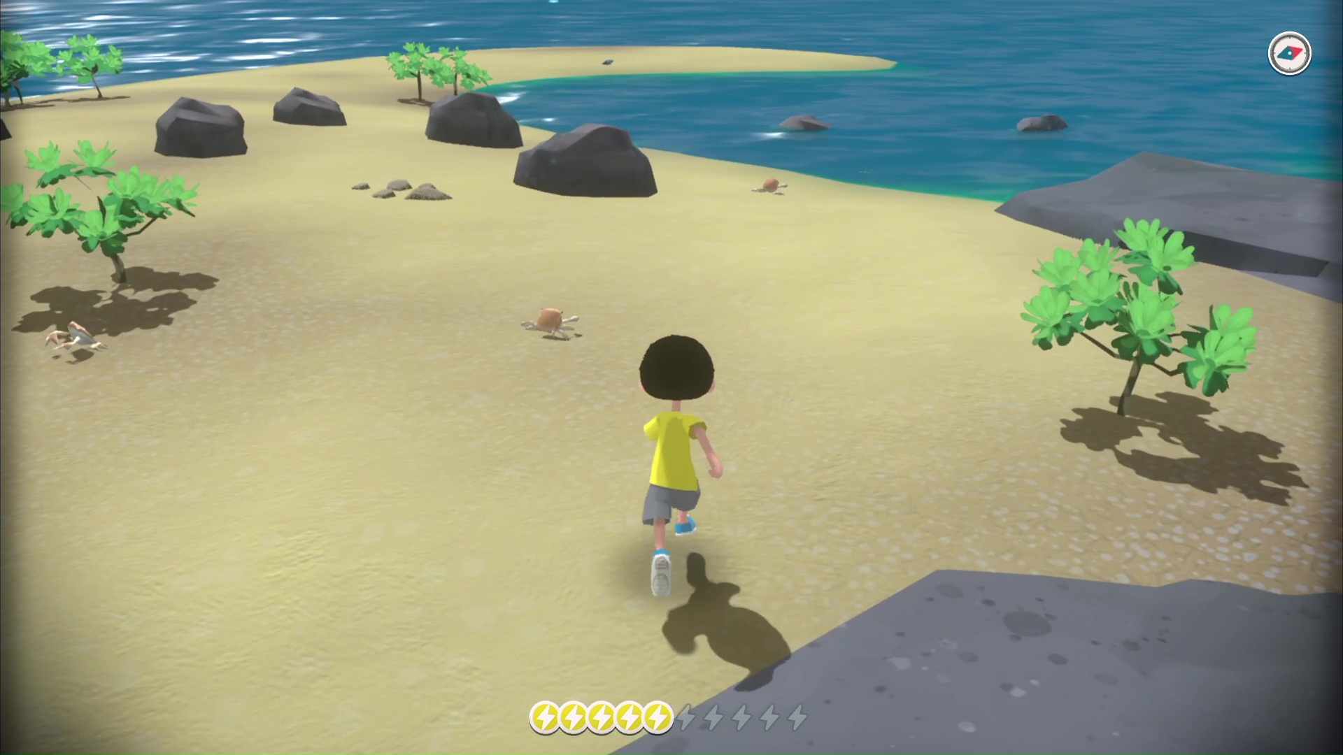 お店で買わなくても、釣りエサのカニは無料で簡単に手に入るので覚えておこう