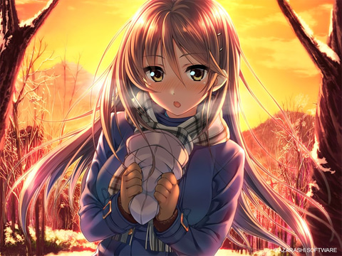 アマカノ Second Season➕ ピロ水 先生直筆イラスト入りサイン