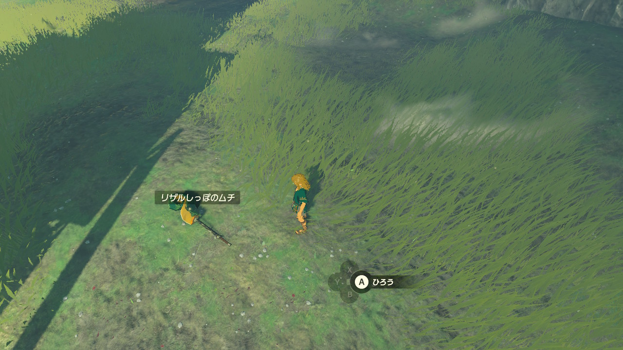 武器の名前もリザルしっぽのムチに変化