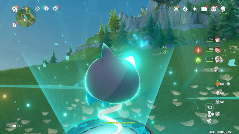 リネットの設置物も、やはり猫なのです