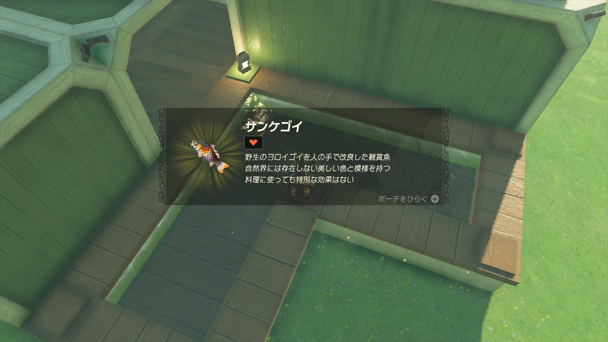 鯉が泳ぐ庭園なども存在