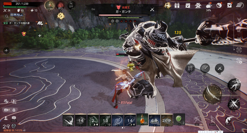 自動戦闘ではなく、手動戦闘でなければ倒せないような強敵も出現する。重要なのは敵の行動の見極めだ