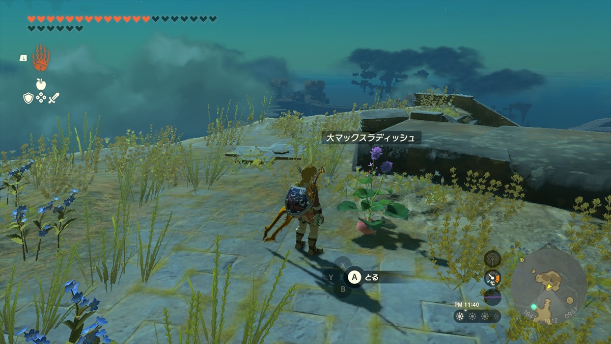 マックスラデッシュ、大マックスラディッシュ共に北ハテール空諸島で入手ができる。ここで手に入れたものを増やすといい