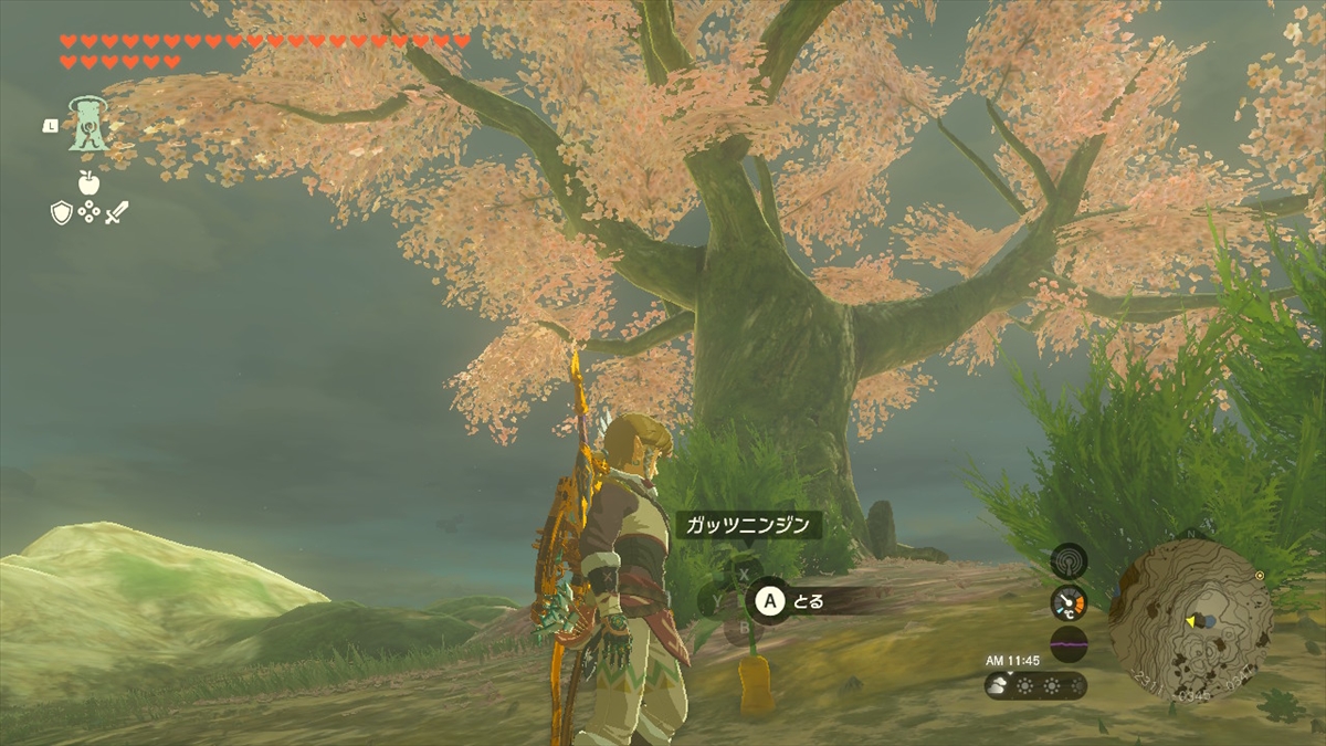 ガッツニンジンはサトリ山で手に入れることができる。桜の木の下で複数入手することができるので、これを畑に植えるといいだろう