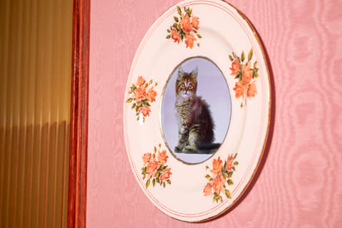 ハリポタツアー東京」にて新メニュー「アンブリッジ教授のアフタヌーン