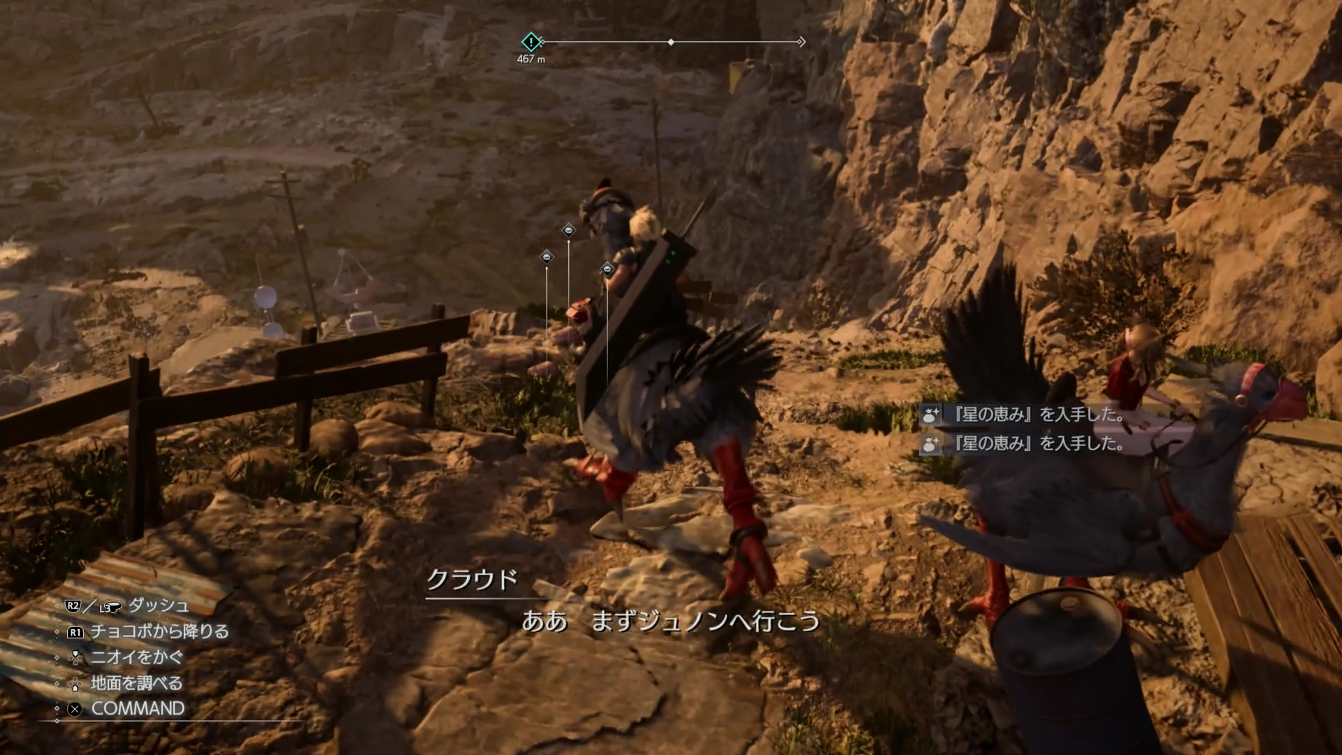 地面から生えているように見えるのが、「アイテムクラフト」で使用する素材だ