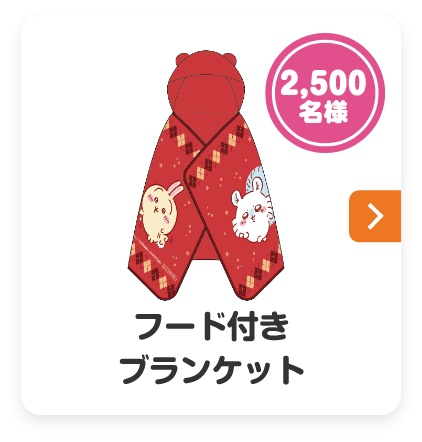 フード付ブランケット：2,500名