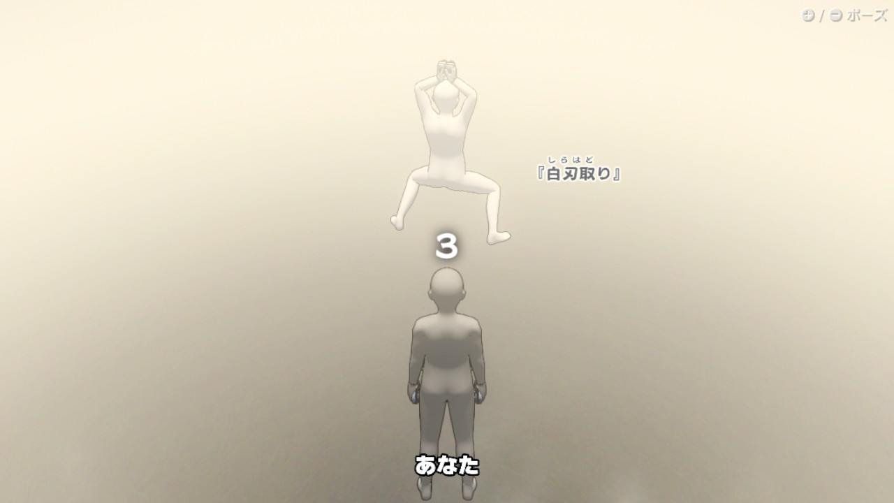 もちろん2人同時プレイの時は2人一緒に恥ずかしいポーズを取ることになる