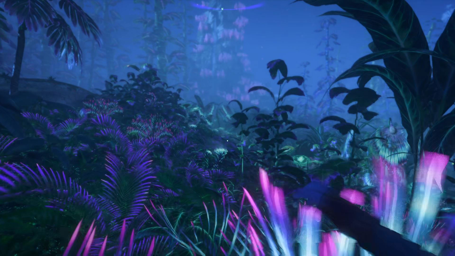 自然は細部の細部までこだわって表現しているという