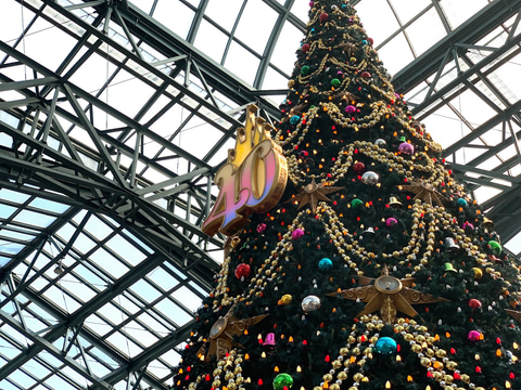 限定　懸賞品　東京ディズニーランド クリスマスツリー 11月7日（金）日本最大のディズニーストア「ディズニーフラッグ