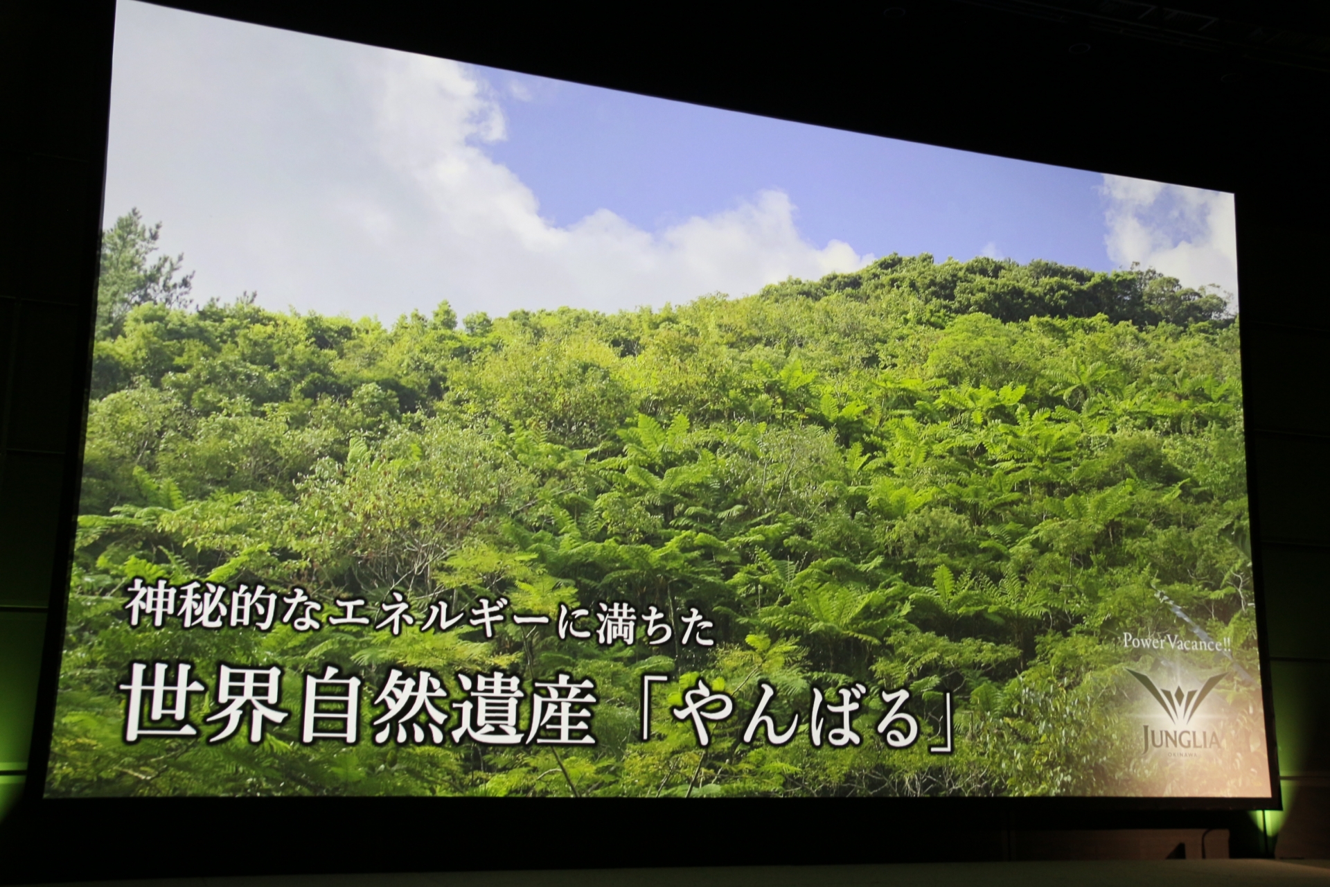 テーマパークのポイントのひとつが「絶景」