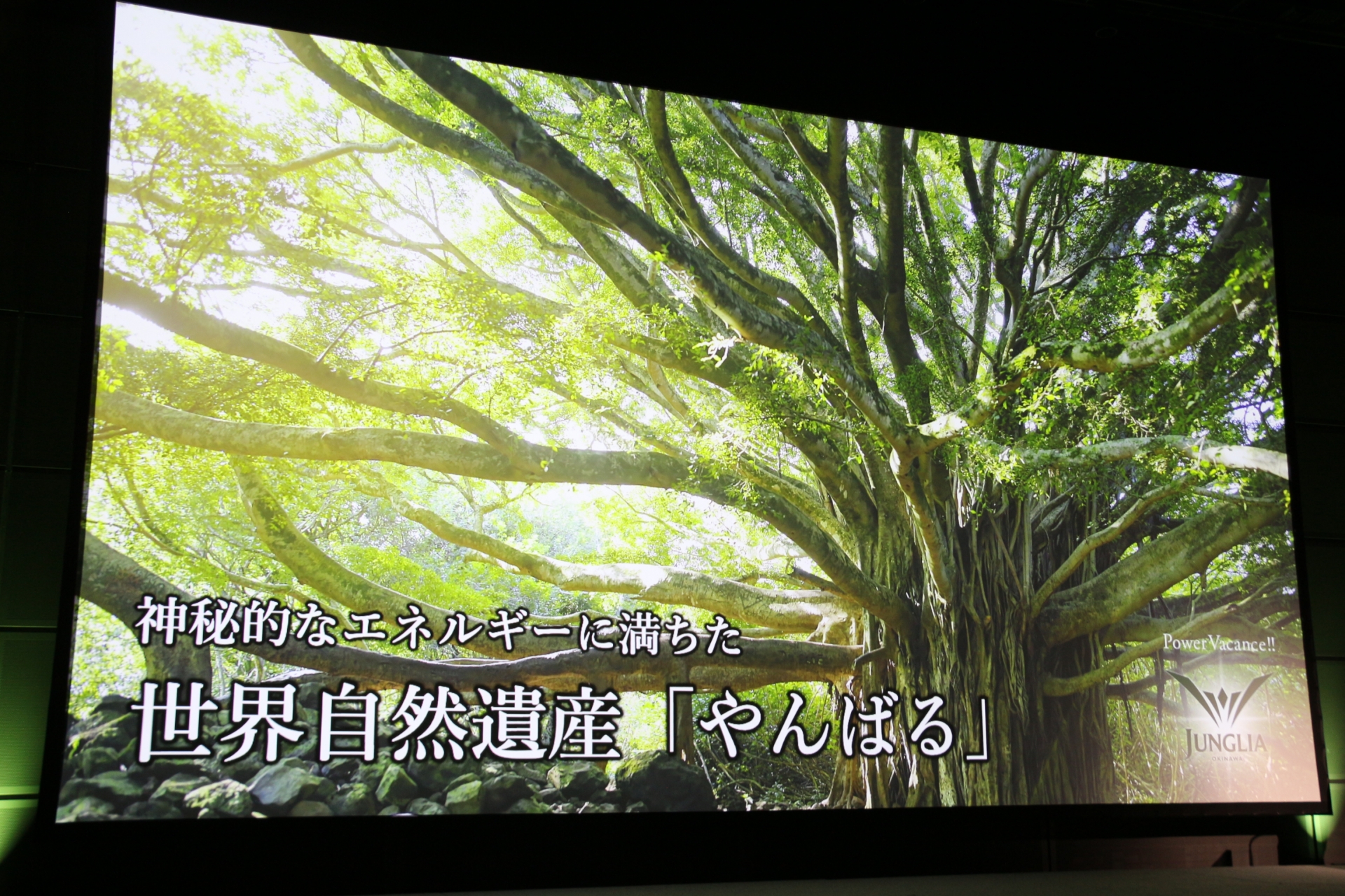 テーマパークのポイントのひとつが「絶景」