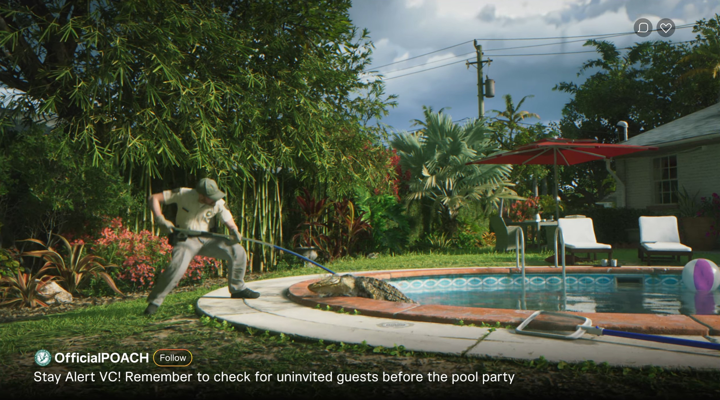 アメリカで野生のワニはフロリダ南部に生息している