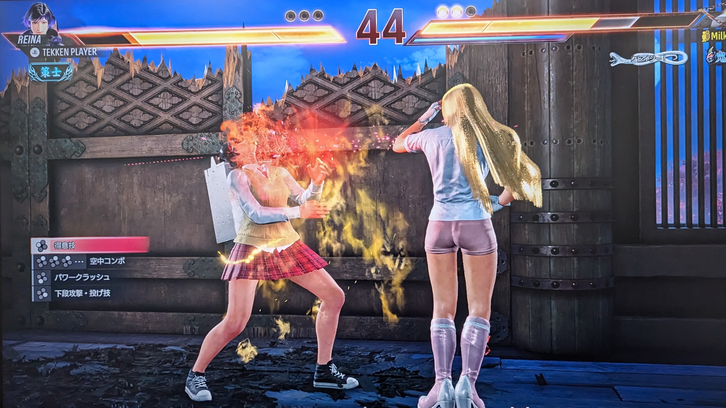 スペシャルスタイルは簡易操作で必殺技が繰り出せるのが魅力だが、あくまでも初心者向けの簡易入力であるとしながらも、一部必殺技を簡単に出すための機能としても使ってほしいとスペシャルスタイルの立ち位置を語る